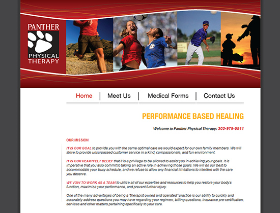 PANTHER PHYSICAL THERAPY | website design